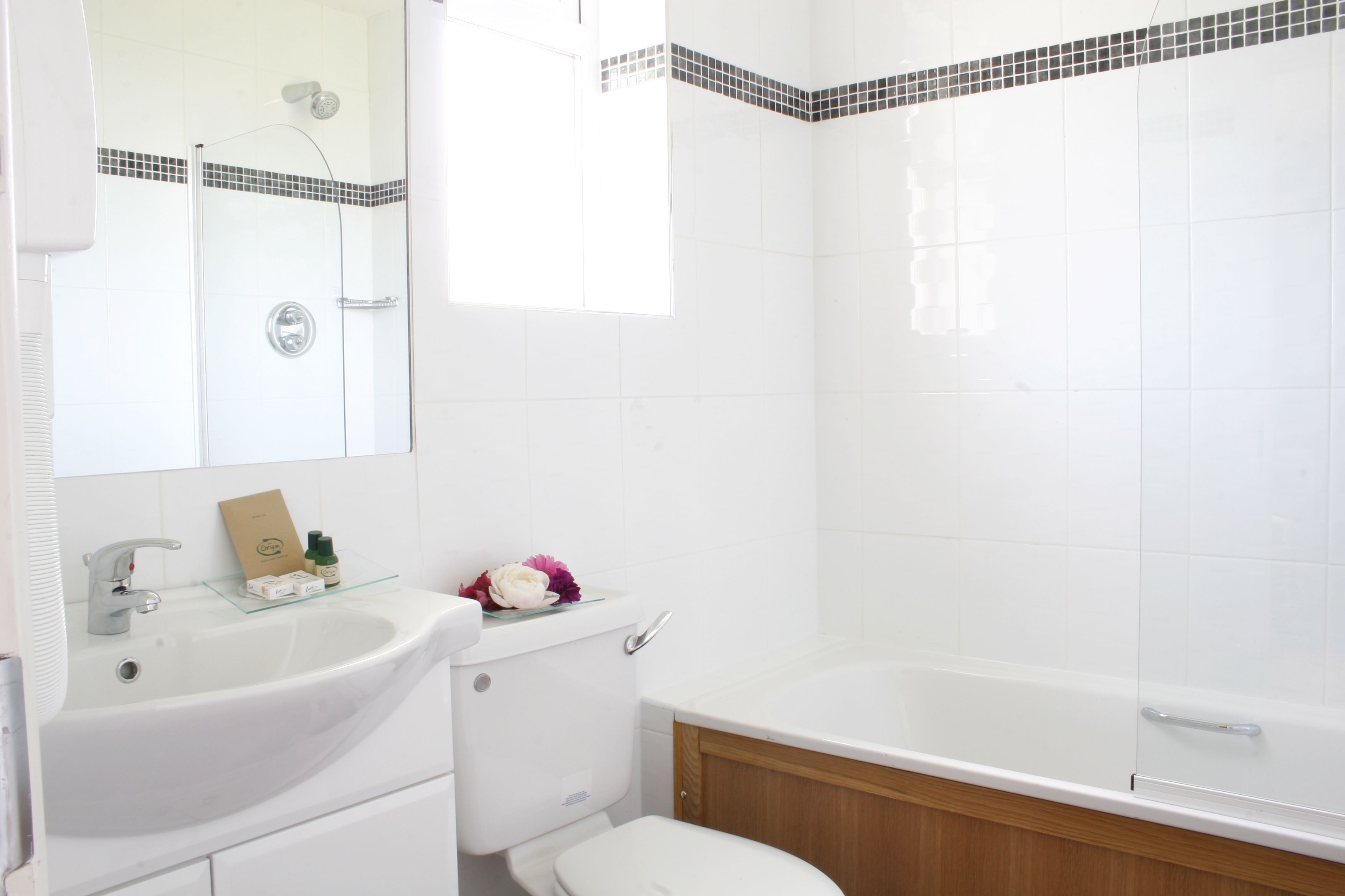 combined shower/bathtub, free toiletries, hair dryer, towels