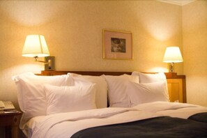Individually decorated, individually furnished, desk, iron/ironing board - Ring of Kerry Hotel (Cahirciveen)