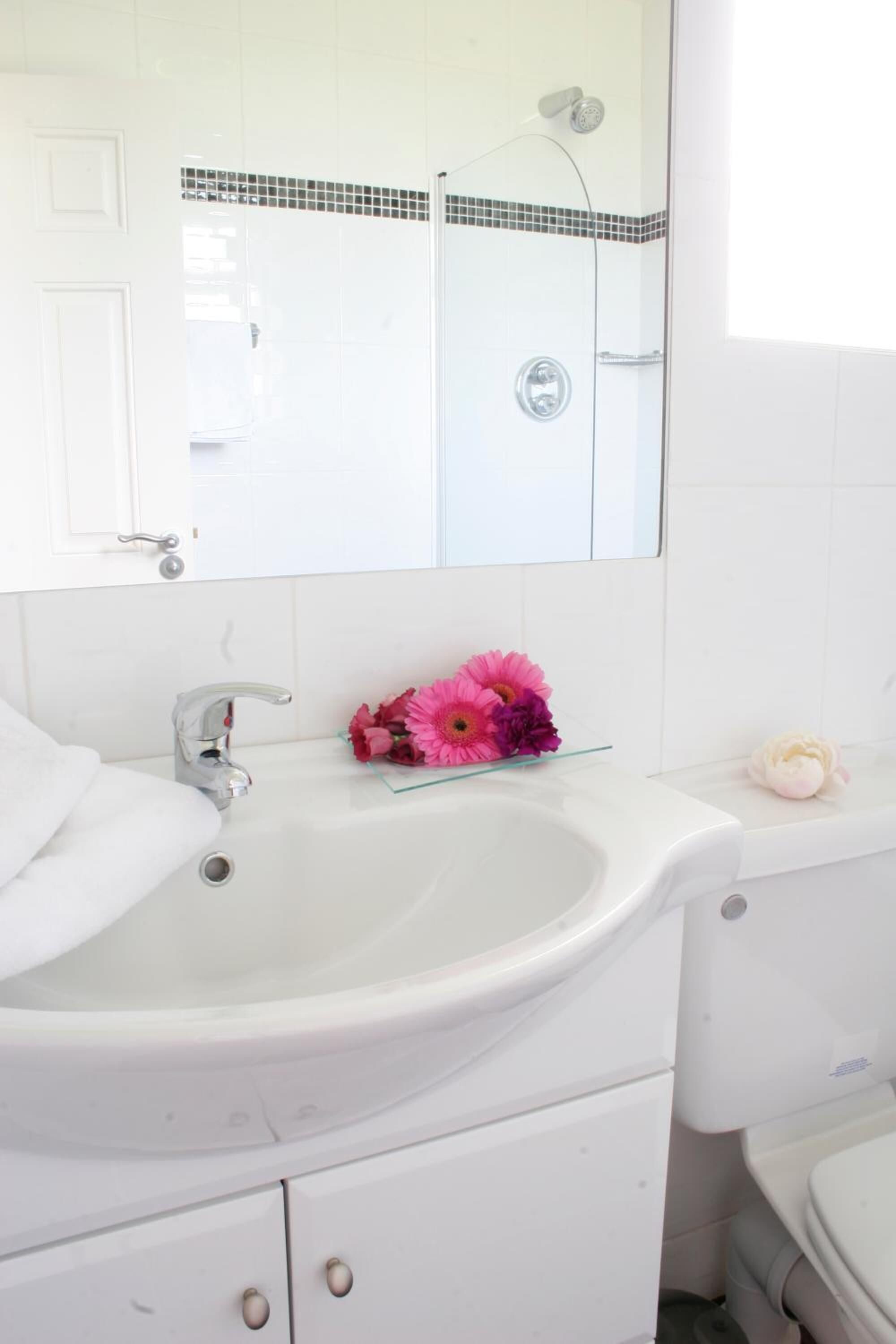 combined shower/bathtub, free toiletries, hair dryer, towels