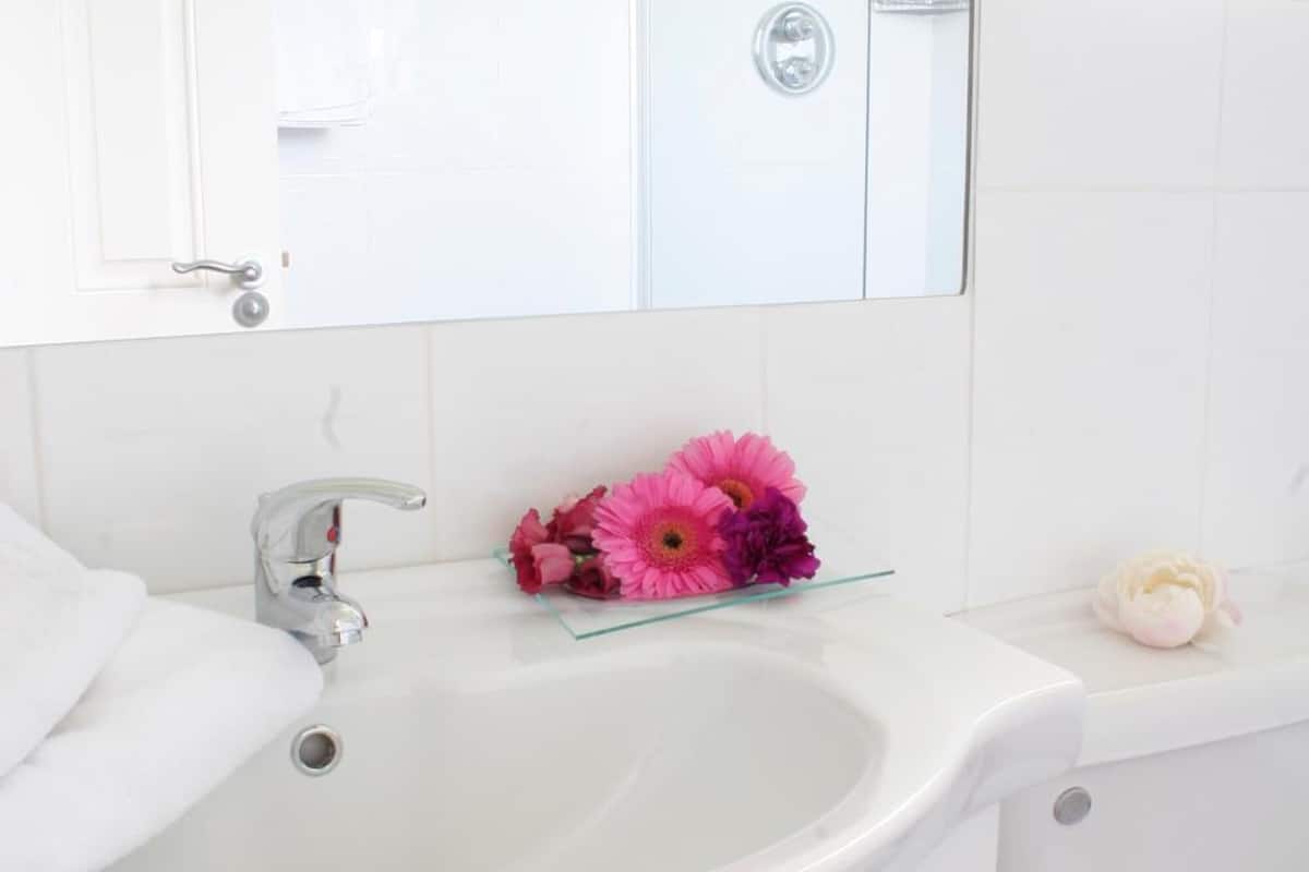 combined shower/bathtub, free toiletries, hair dryer, towels