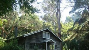 A rustic cabin surrounded by dense forest. - Allenvale (Lorne)