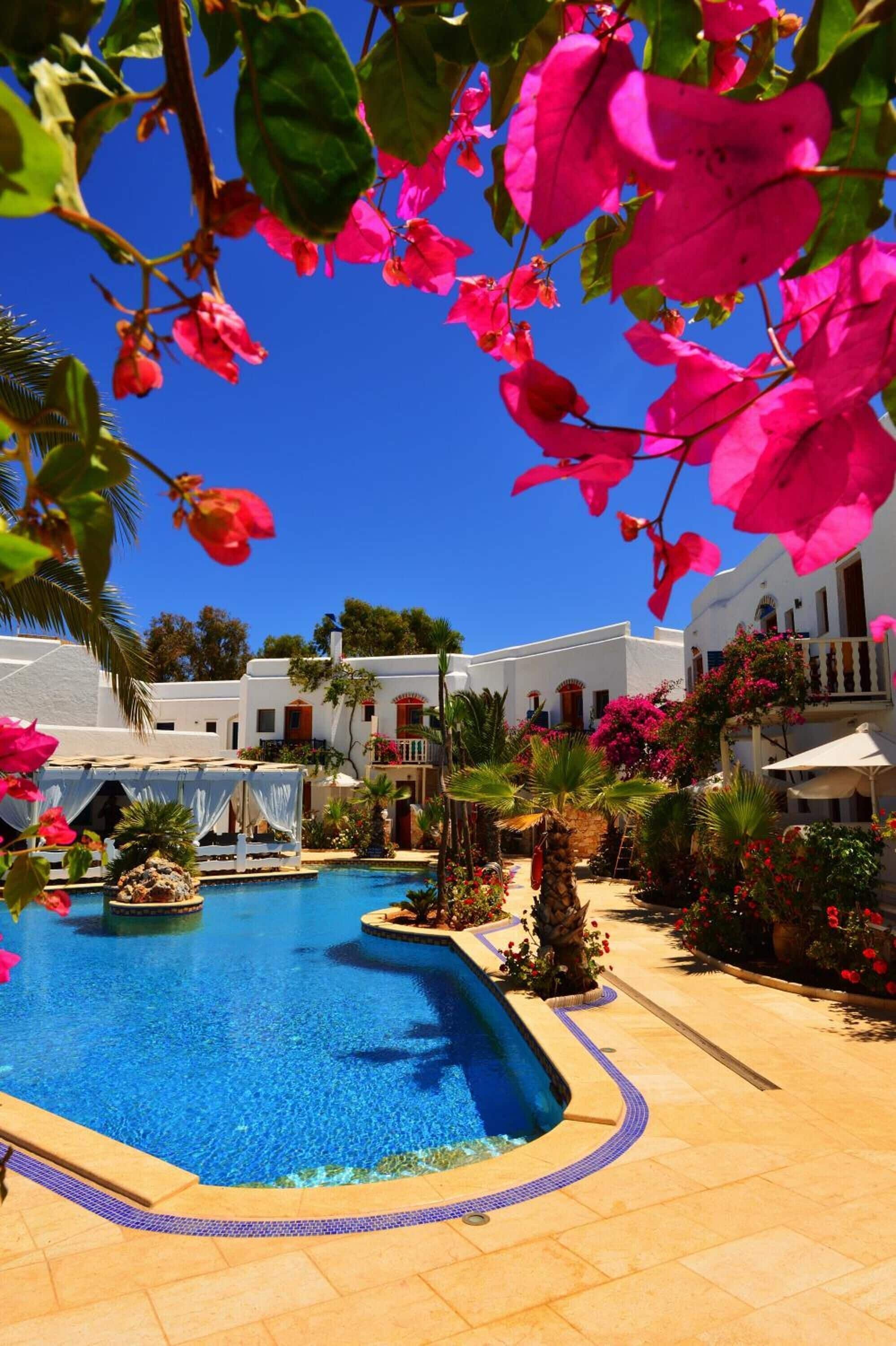 室外泳池；泳池傘、躺椅