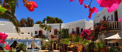 Outdoor pool, pool umbrellas, pool loungers