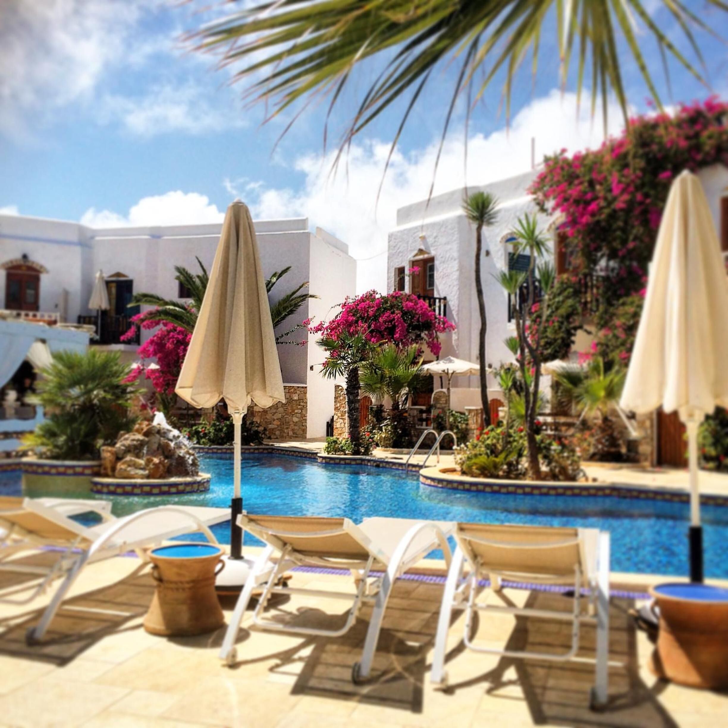 outdoor pool, pool umbrellas, pool loungers