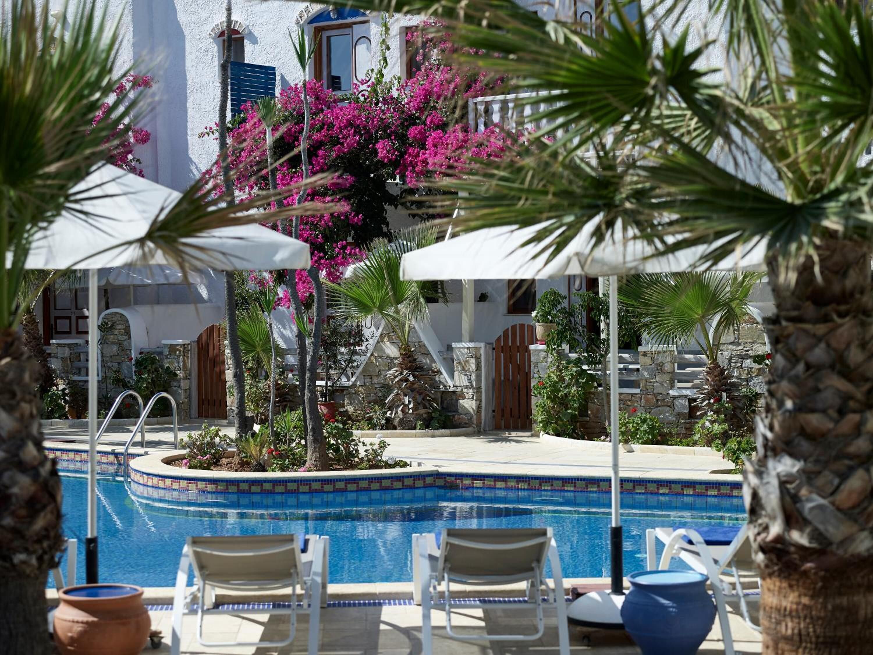 outdoor pool, pool umbrellas, pool loungers