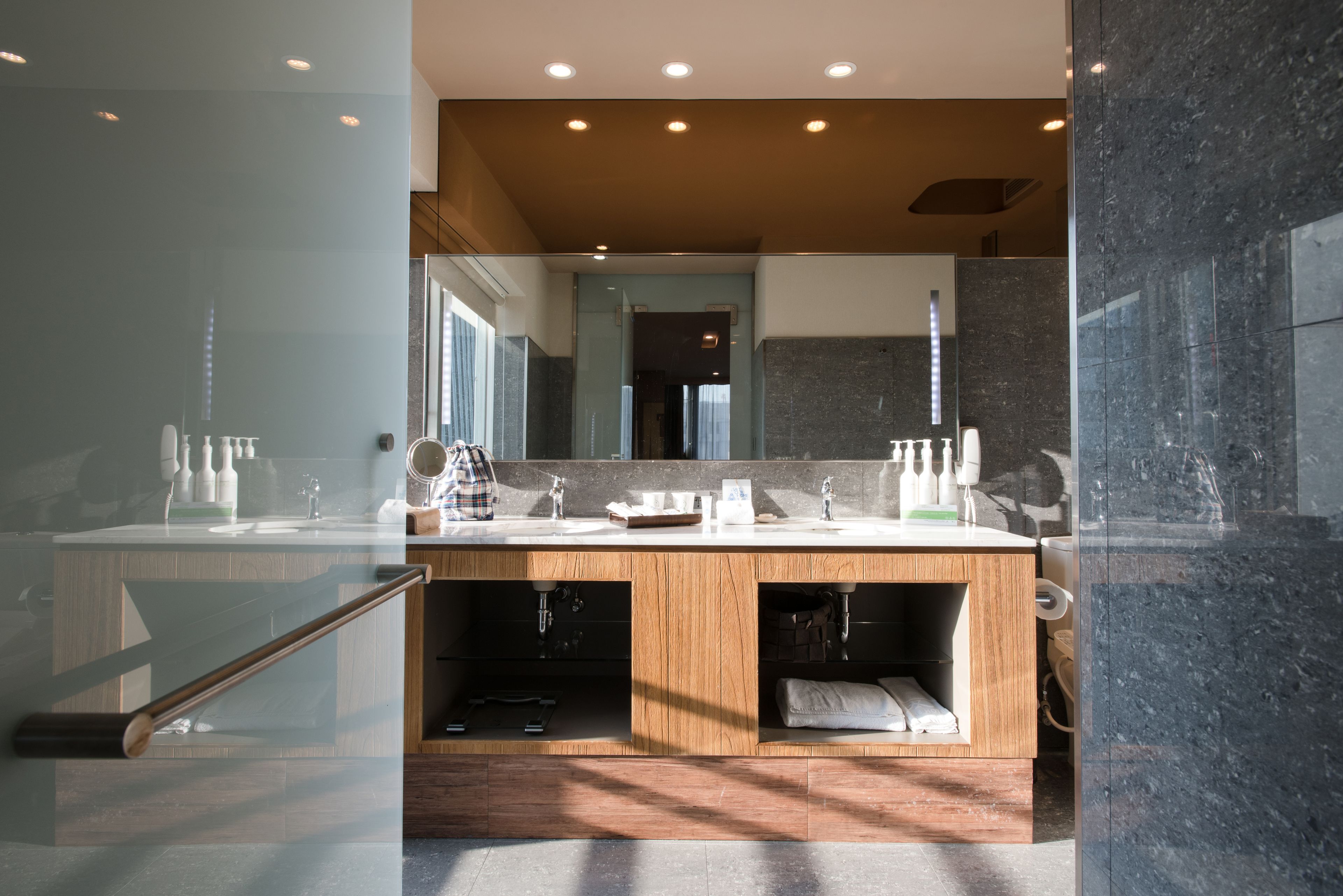 executive suite, 1 bedroom, allergy friendly, city view | bathroom | hair dryer, bathrobes, slippers, towels