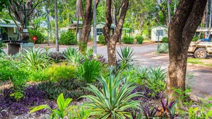 A garden area with various plants and trees, a barbecue grill, and a small building in the background. - Knotts Crossing Resort (Katherine)
