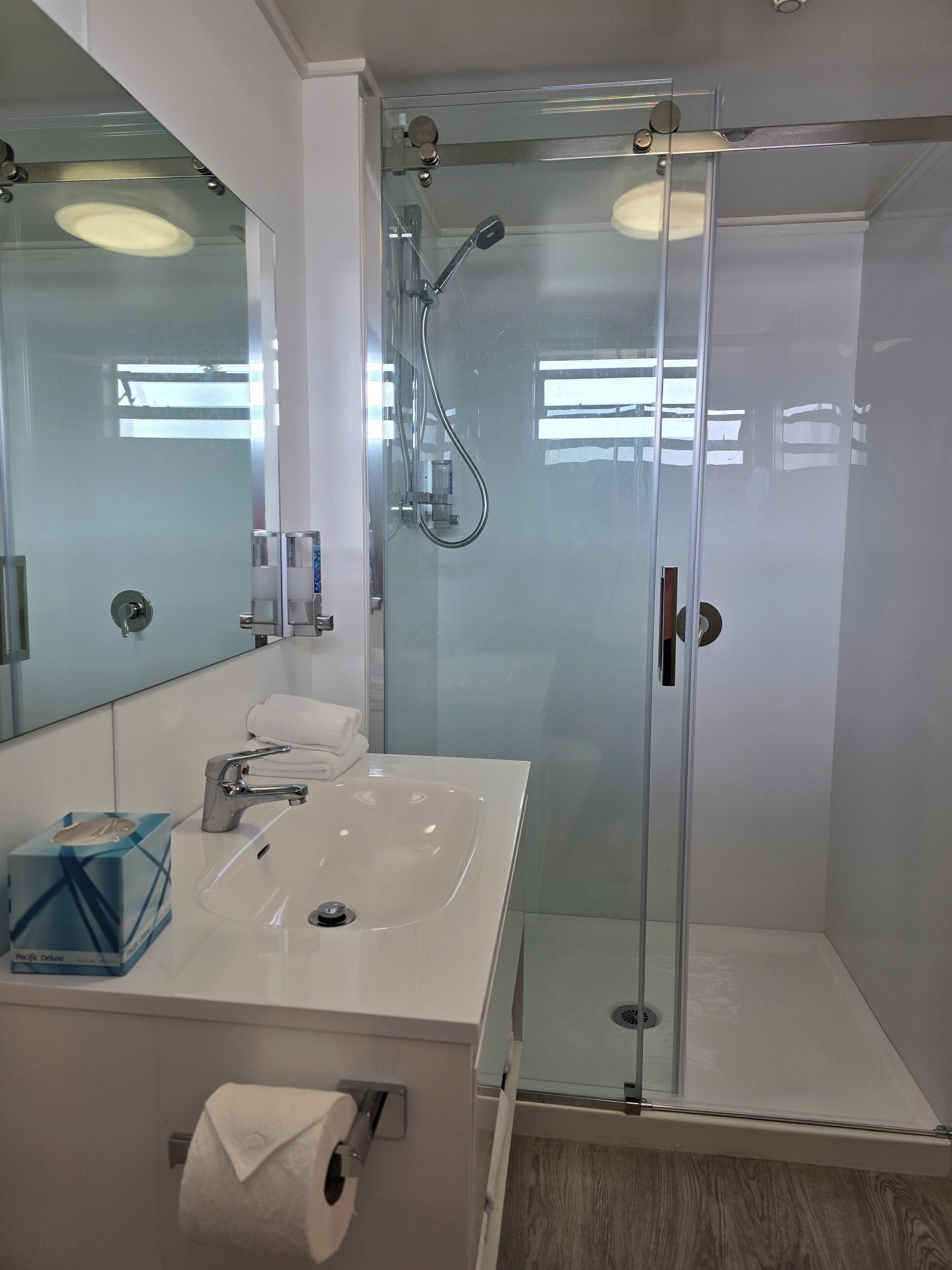 A modern bathroom with a glass-enclosed shower, a white sink, and a mirror.