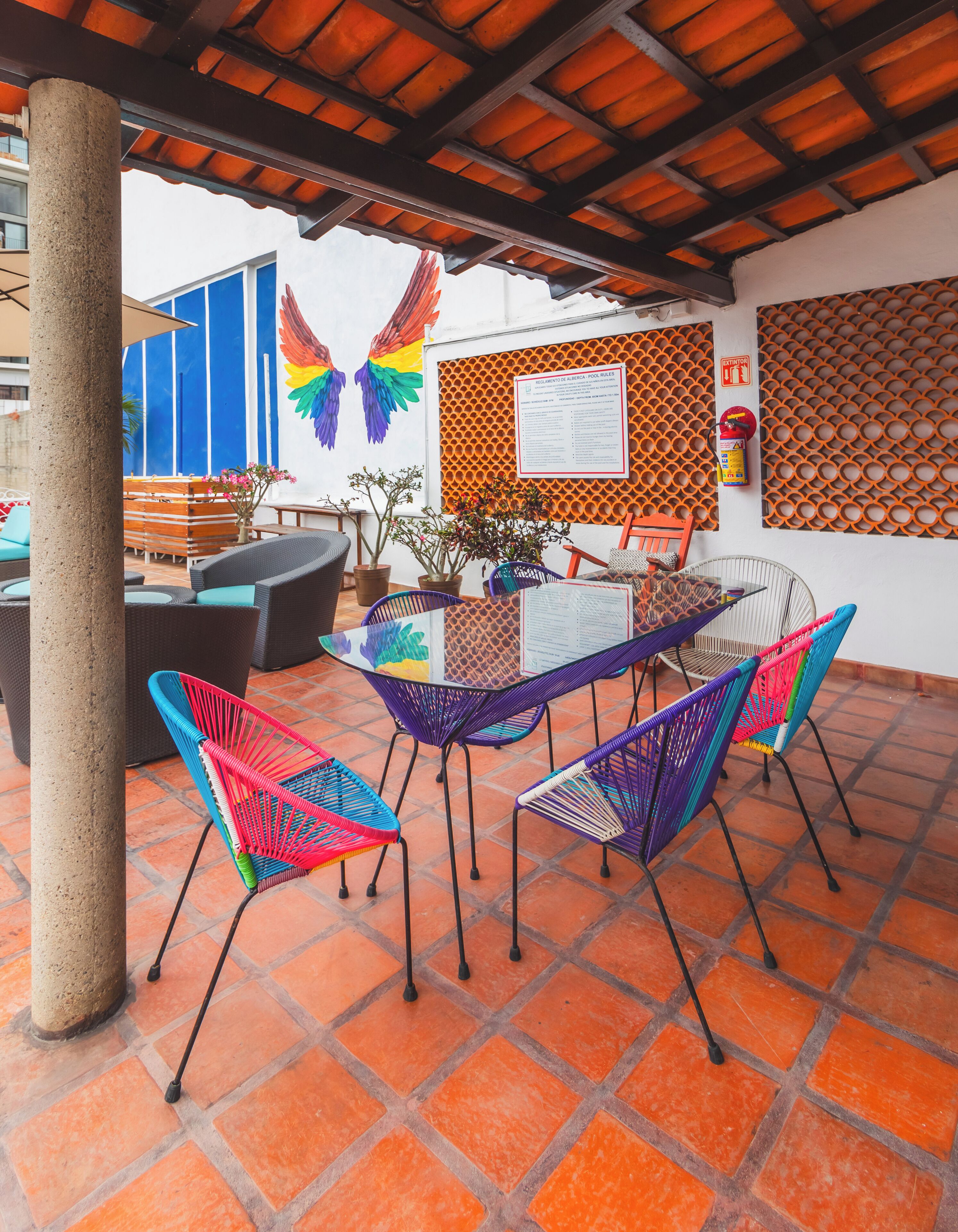 Foto - La Iguana Vallarta LGBT ADULTS ONLY - Romantic Zone - Party Clubbing Street