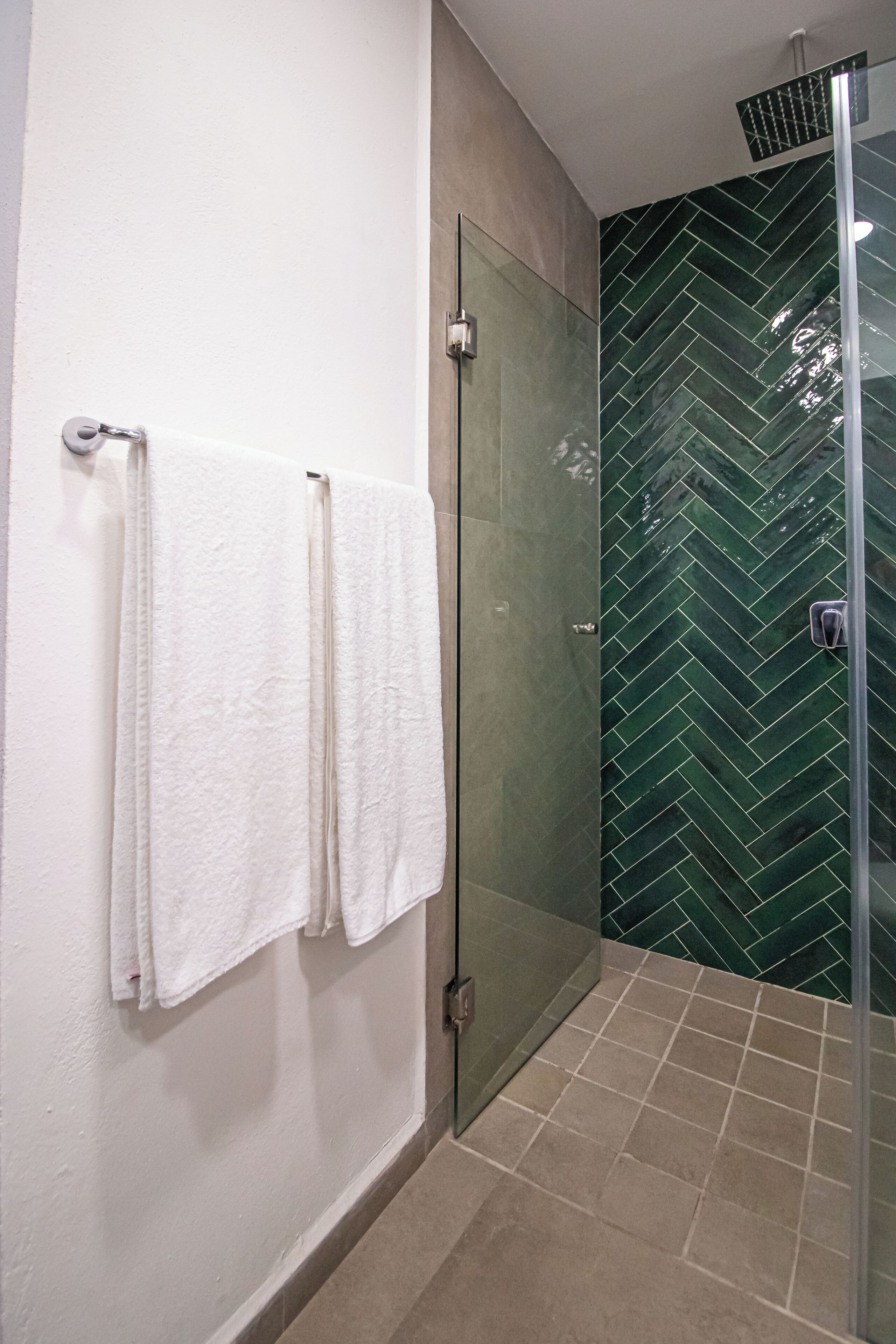 Photo - La Iguana Vallarta LGBT ADULTS ONLY - Romantic Zone - Party Clubbing Street