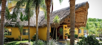 Zar Colima
