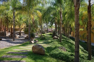 Un sendero bordeado de palmeras y rocas, que conduce a un edificio de fachada amarilla.