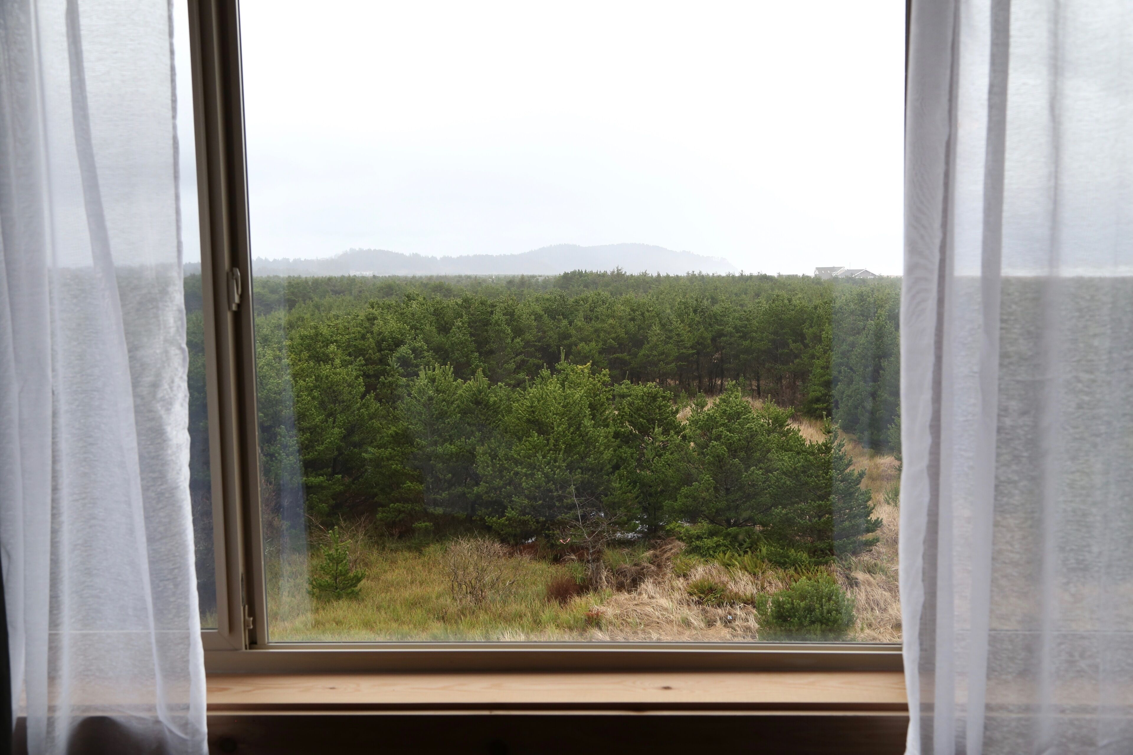 A window with a view of a dense forest and distant mountains.