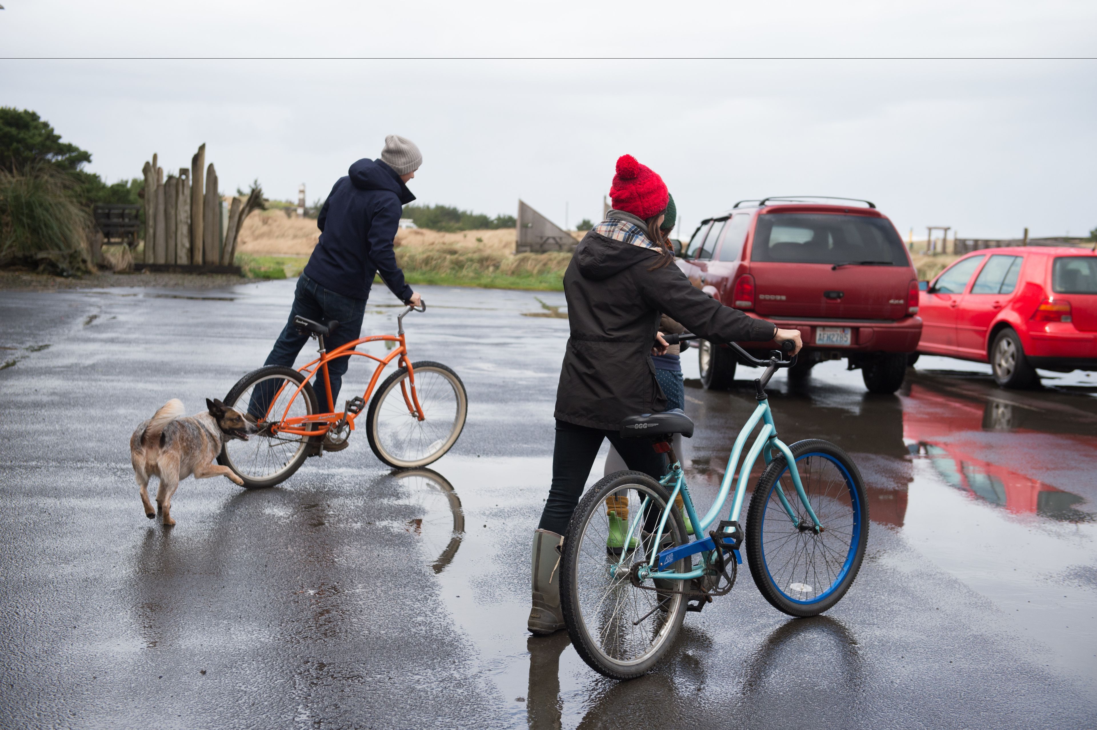 A wet road with two bicycles and a dog.