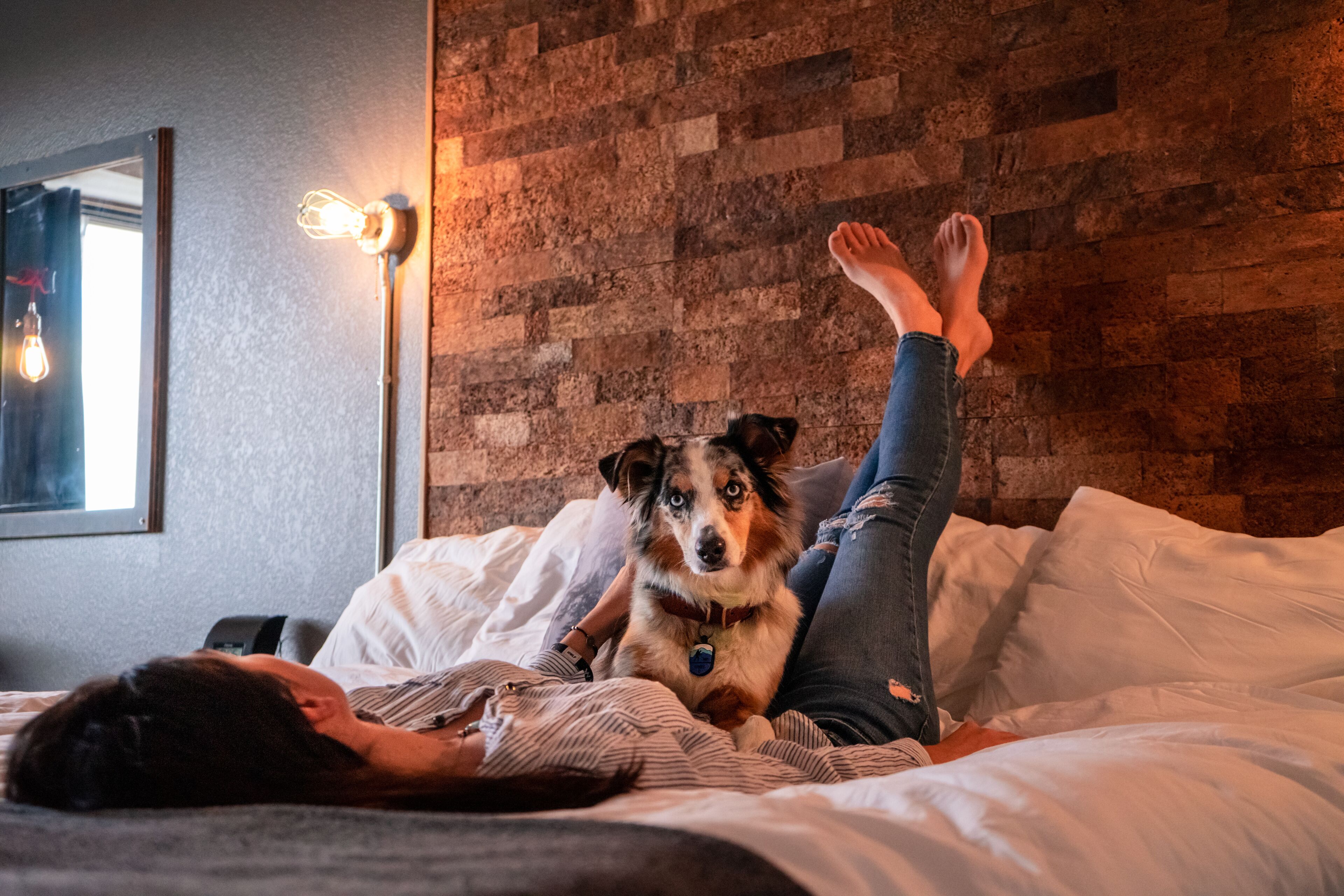 Une personne allongée sur un lit, avec un chien, dans une pièce dont un mur est en briques et qui est éclairée par un luminaire.