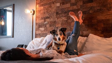 A person lying on a bed with a dog, in a room with a brick wall and a light fixture.