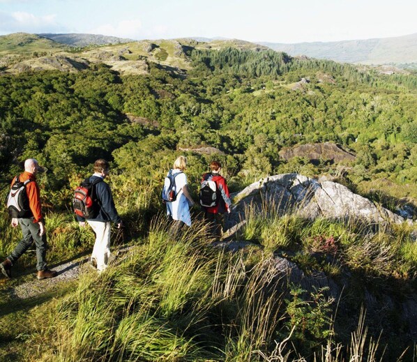 Un grupo de excursionistas en un sendero cubierto de hierba, con un paisaje montañoso al fondo.