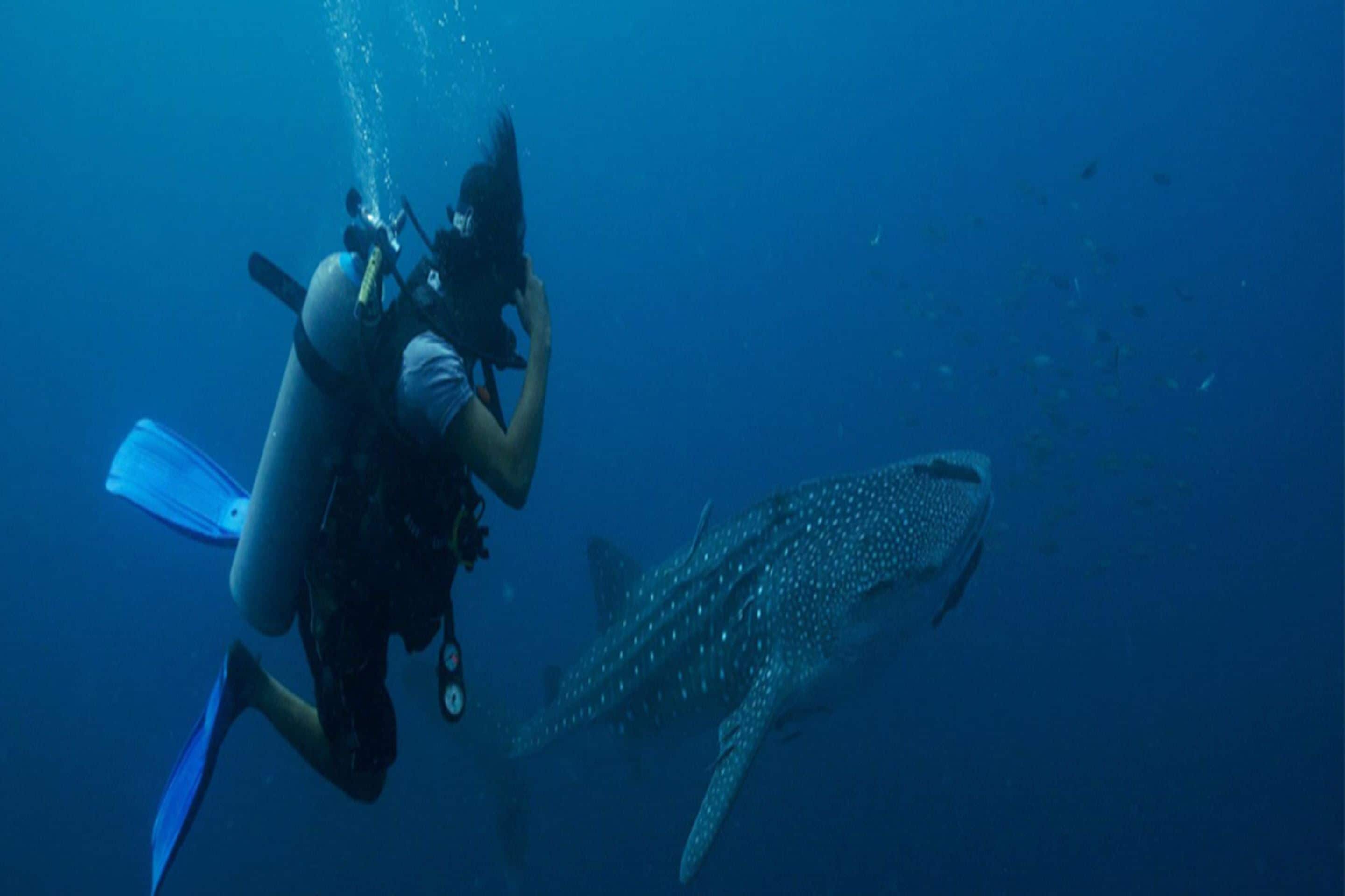 Foto - Ban's Diving Resort