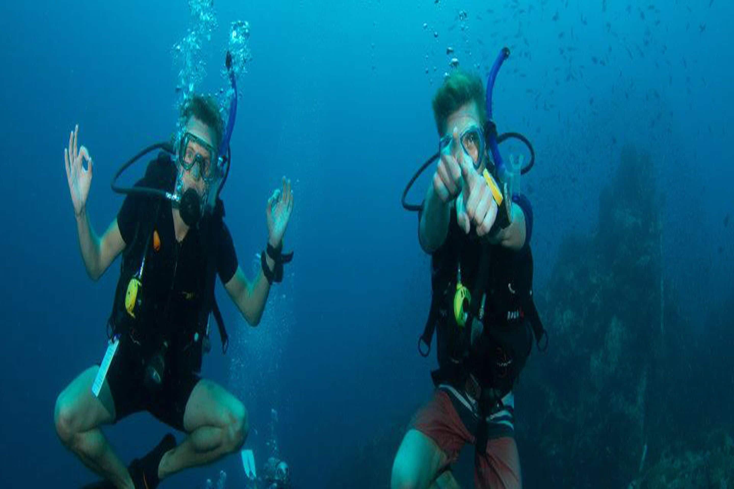 Two scuba divers underwater.