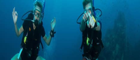 Two scuba divers underwater.