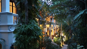 Un sentier luxuriant, bordé de verdure, mène à un bâtiment à l’architecture classique, lui-même entouré d’un feuillage dense.