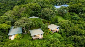 A secluded eco-lodge with multiple cabins surrounded by dense forest, offering a natural, tranquil environment. - Hotel Luna Azul (Cuajiniquil)