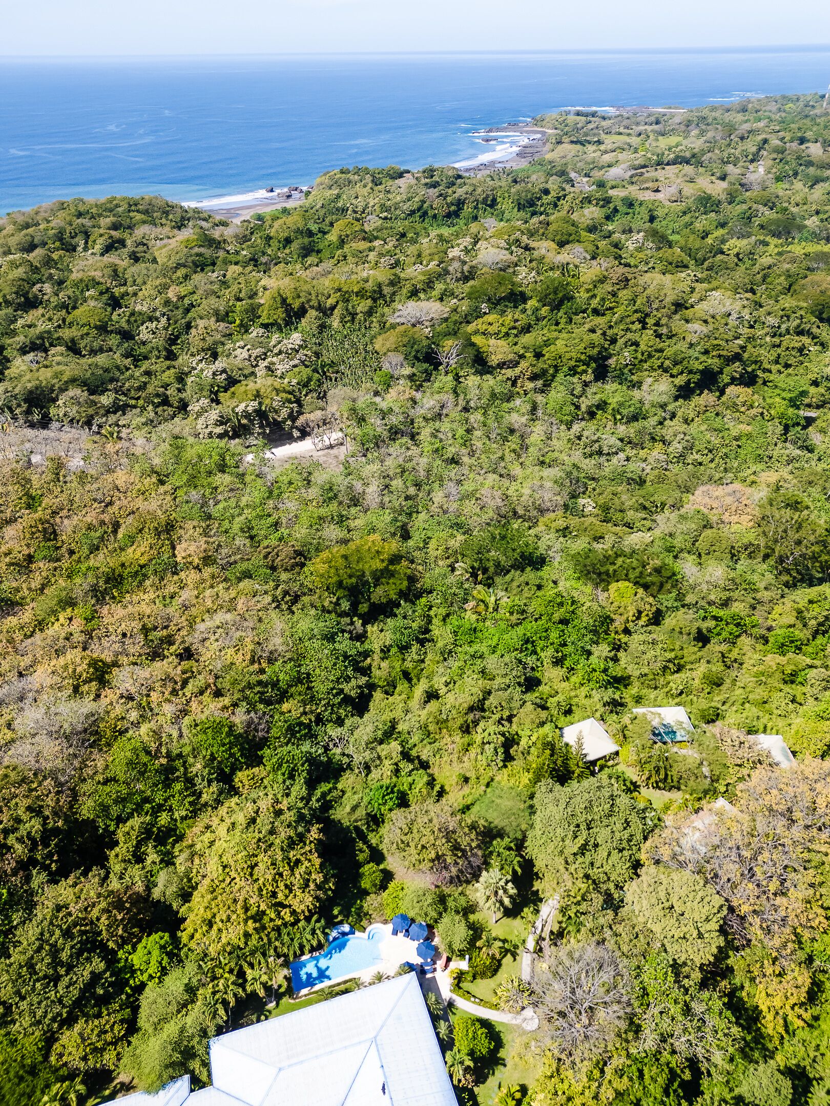 Une vue aérienne d’un paysage verdoyant et luxuriant, avec une piscine et une plage visibles au loin.
