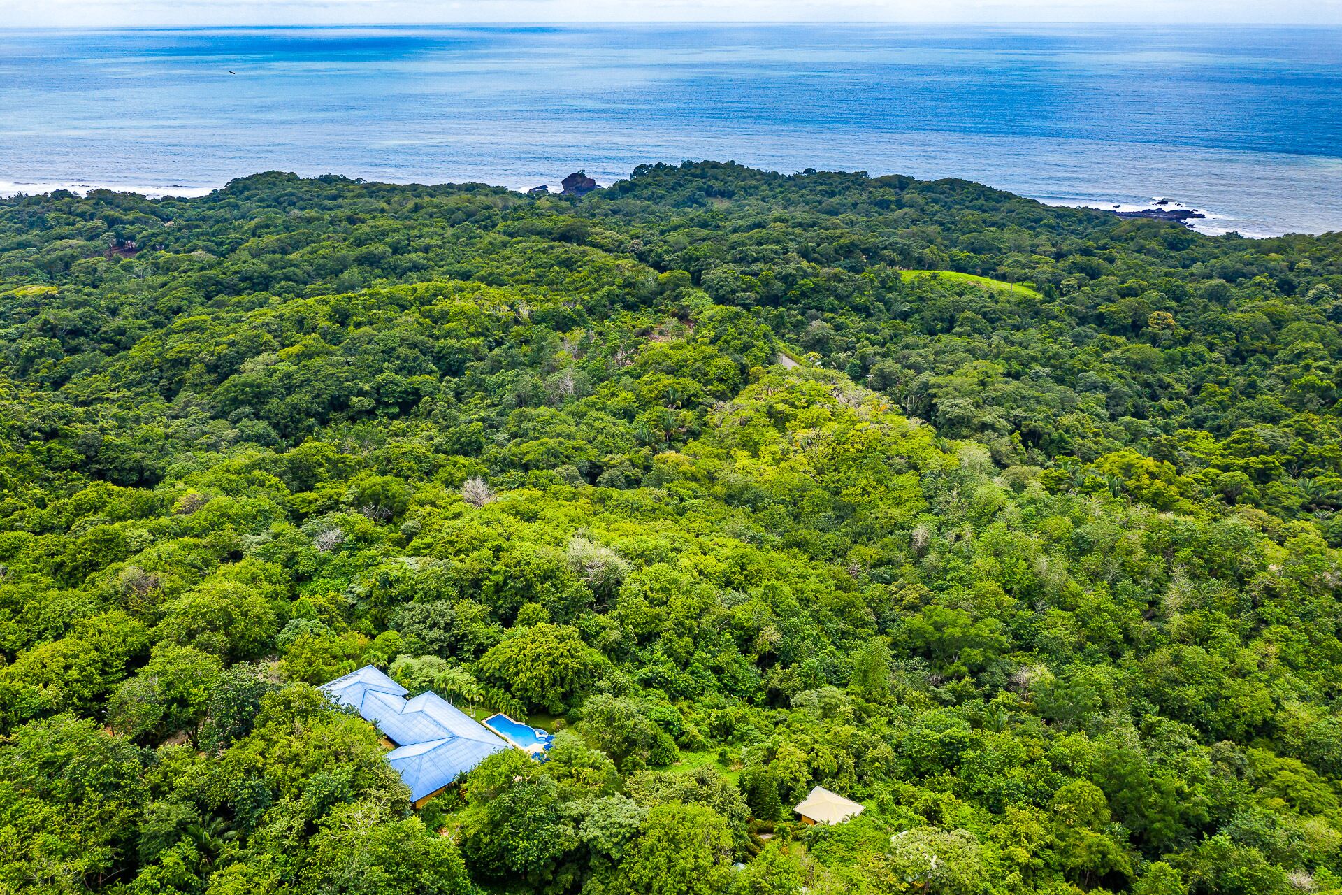 An aerial view of a lush, green forested area with a small building featuring a blue roof and a swimming pool.