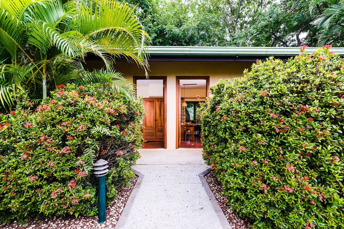 A pathway leading to a building with a green roof, surrounded by lush greenery and flowering bushes.