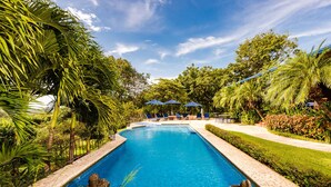 A rectangular pool with clear blue water, surrounded by lush greenery and palm trees. There are lounge chairs and umbrellas along the poolside. - Hotel Luna Azul (Cuajiniquil)
