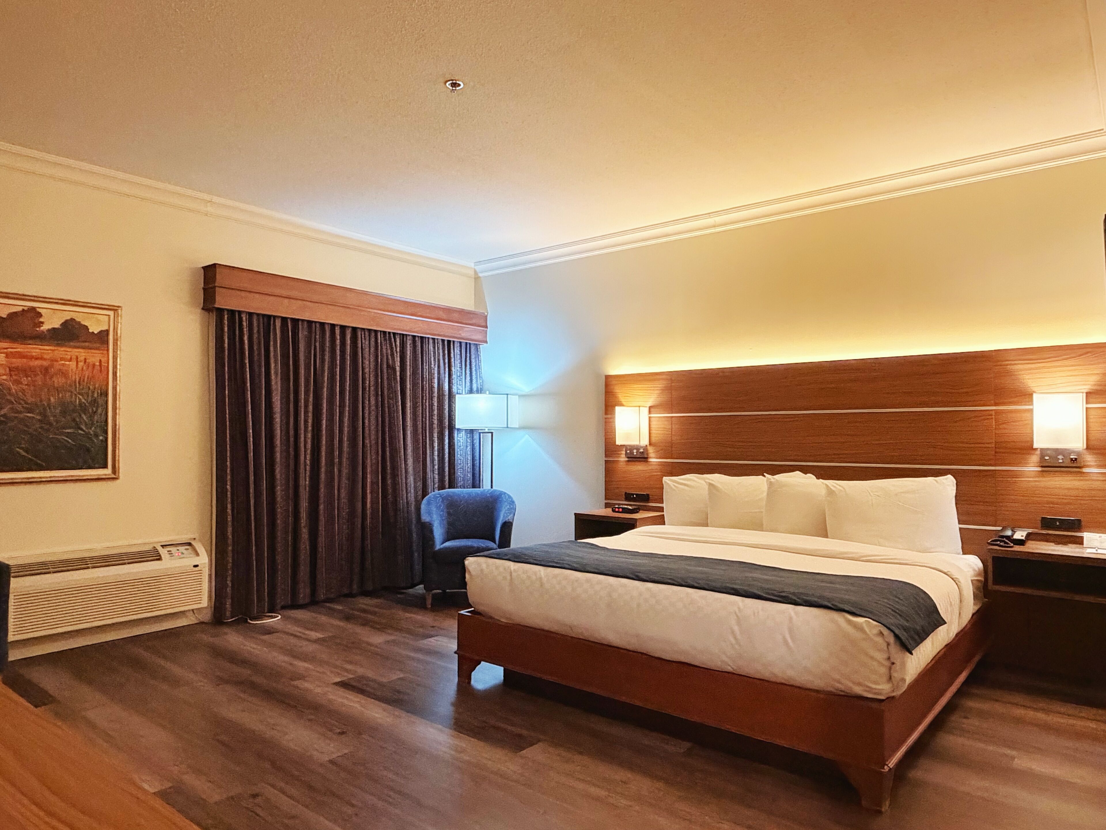 A hotel room with a bed, a chair, a nightstand, a lamp, a painting, and a window with curtains.