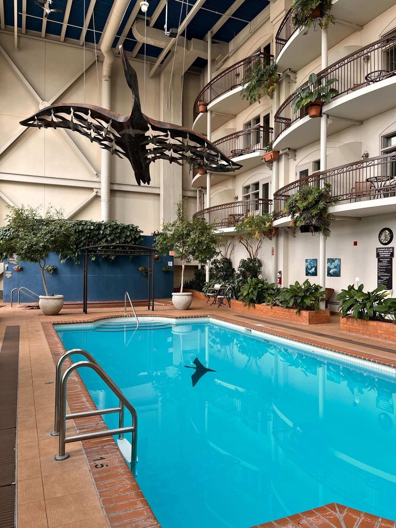 Una piscina interior con trampolín, rodeada de balcones y plantas en macetas.