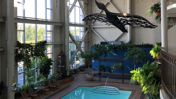 An indoor swimming pool with a large window, ceiling fans, and hanging plants. - Hotel L'Oie des neiges (Levis)