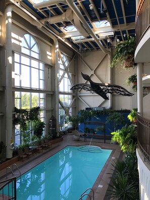 An indoor swimming pool with a large window, ceiling fans, and hanging plants.