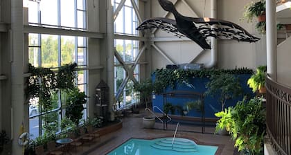 Hotel L'Oie des neiges