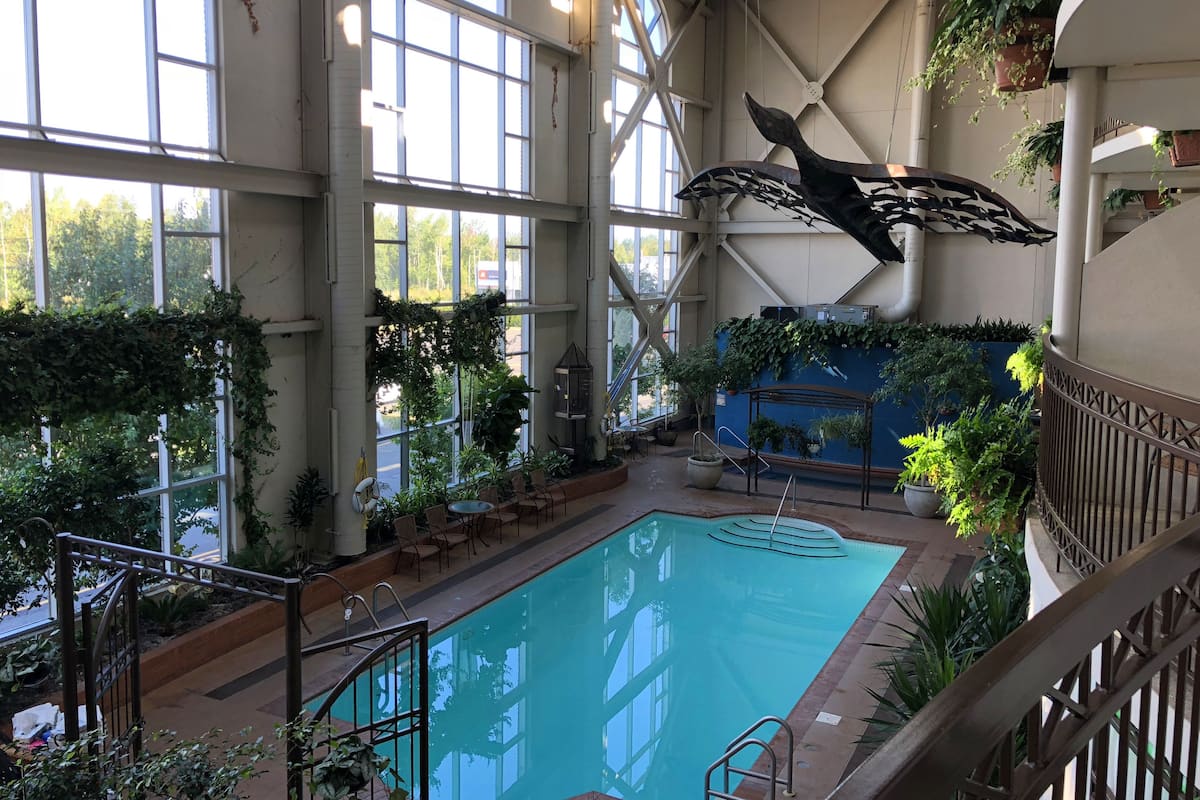 An indoor swimming pool with a large arched window, surrounded by greenery and a decorative whale sculpture.