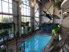 An indoor swimming pool with a large arched window, surrounded by greenery and a decorative whale sculpture.