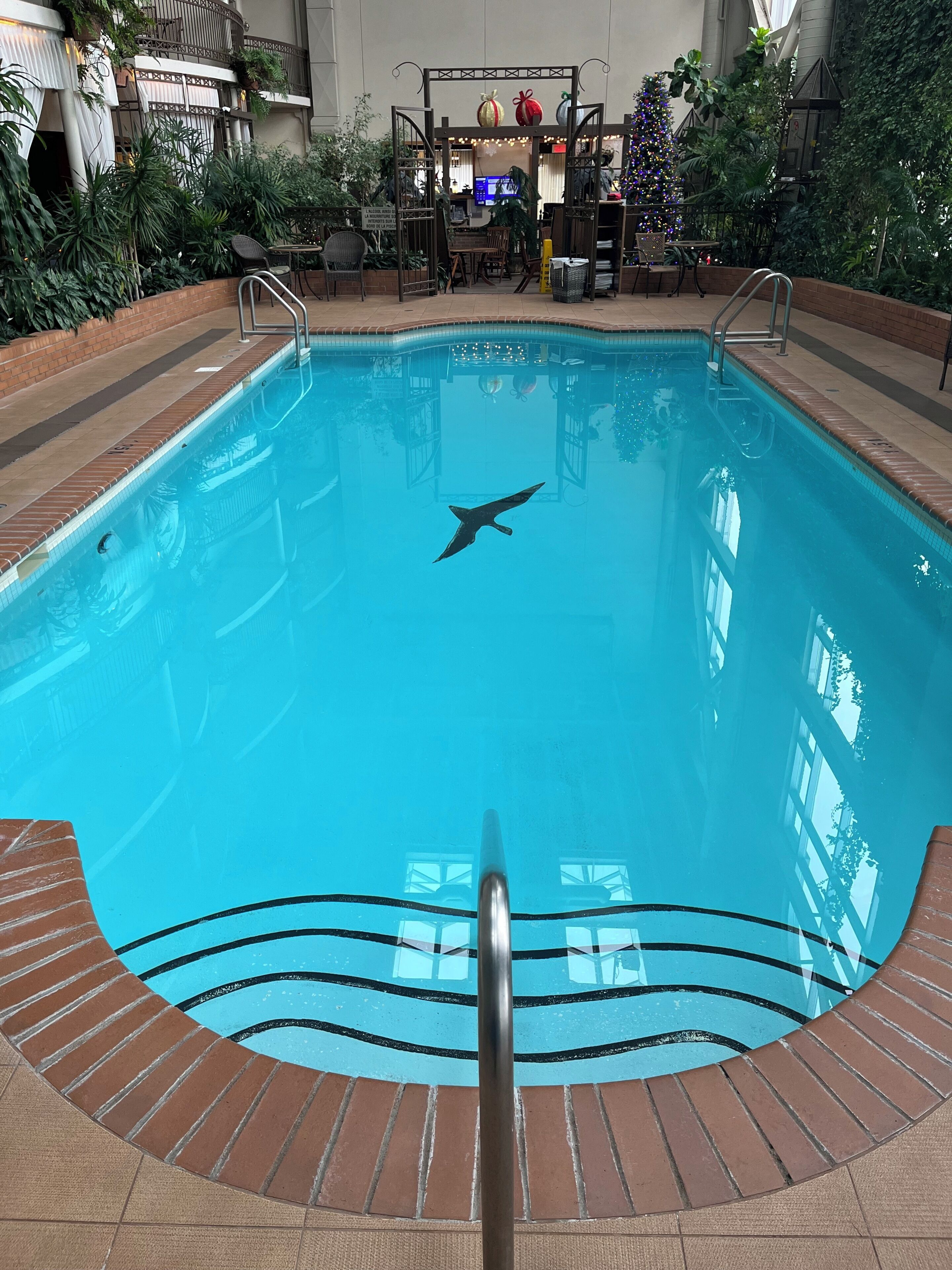 An indoor swimming pool with a central diving board, surrounded by brick flooring and metal railings.
