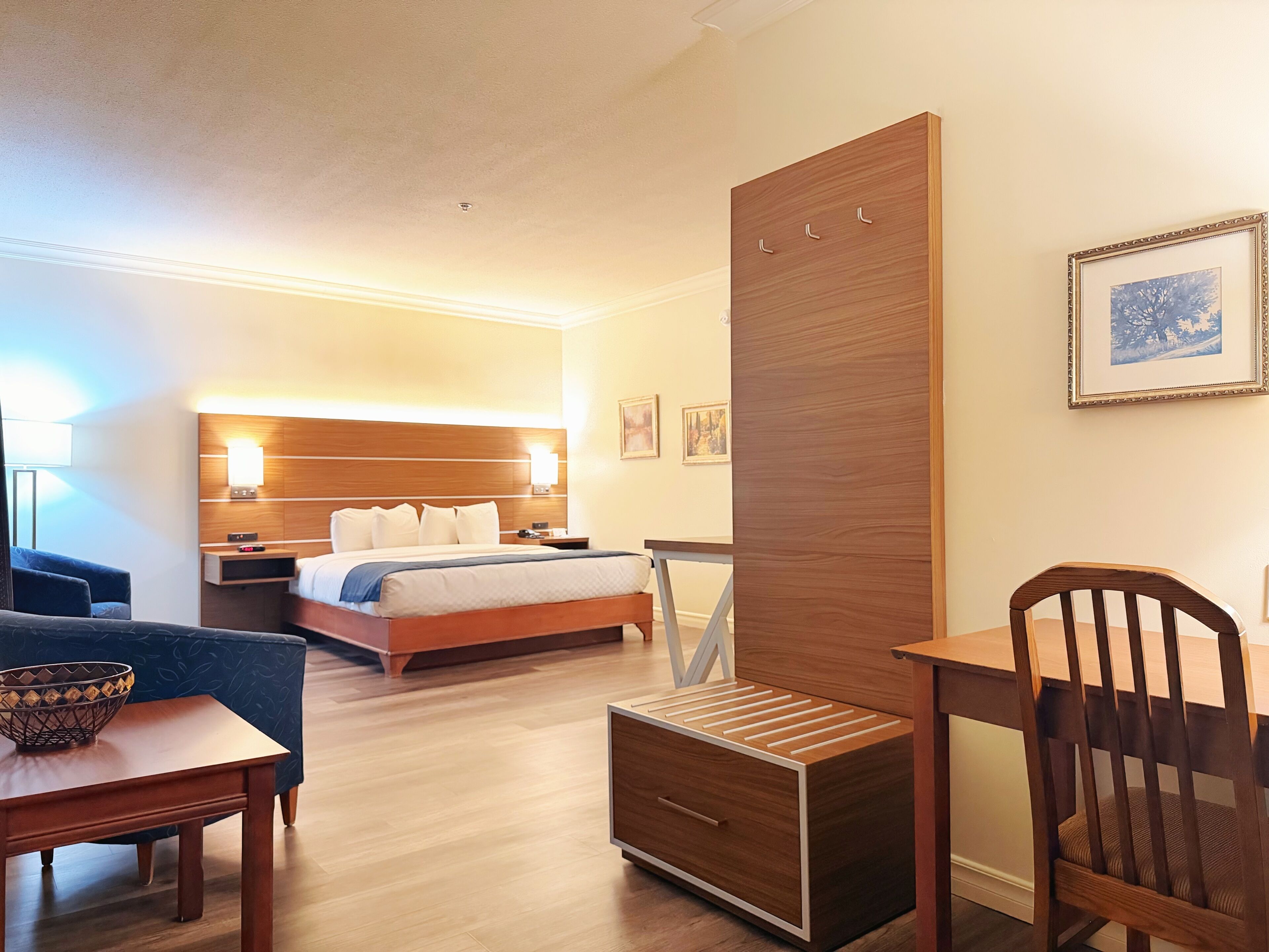 Una habitación de hotel con cama, mesita de noche, silla, escritorio y armario.