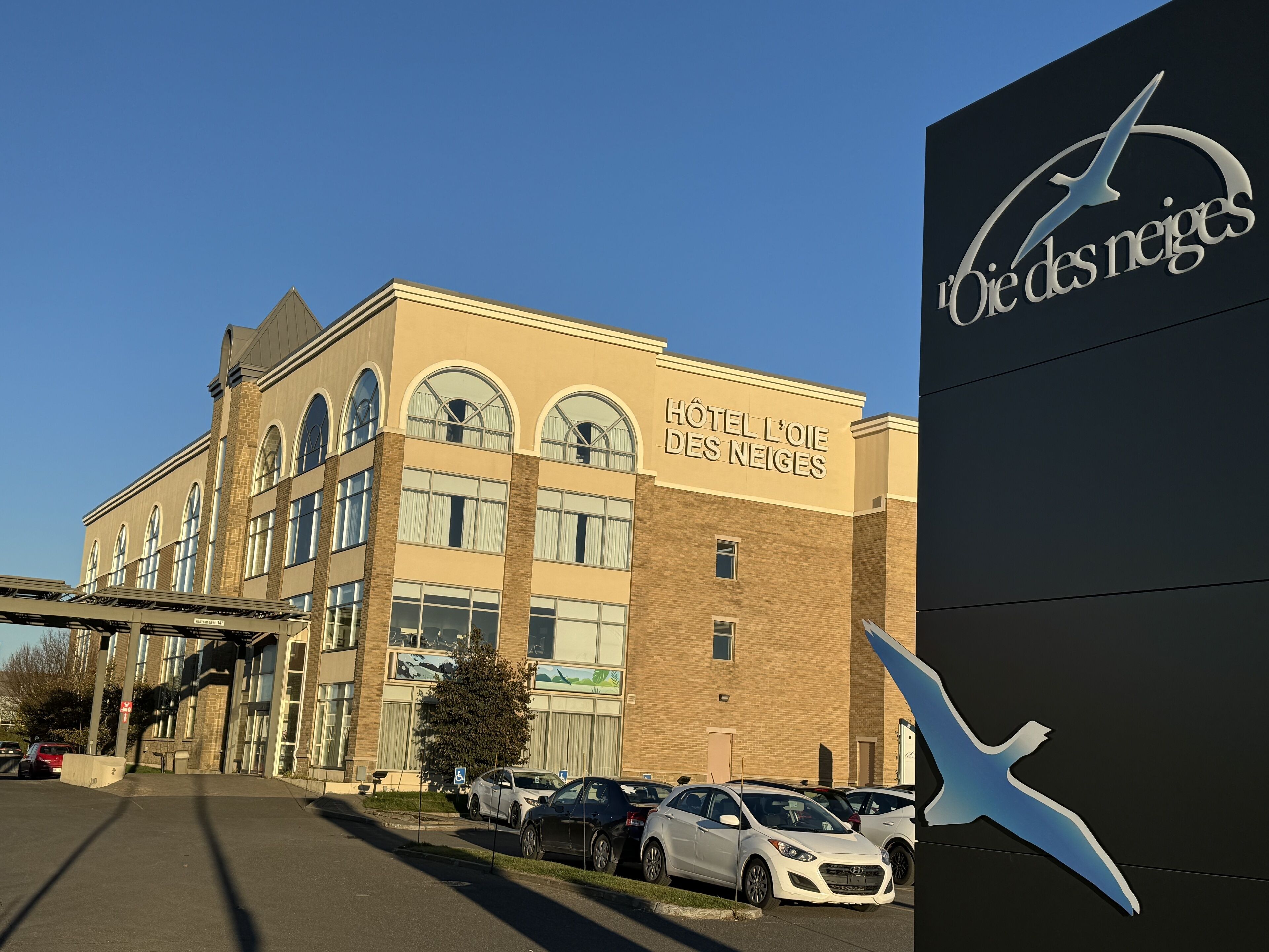 Foto - Hotel L'Oie des neiges