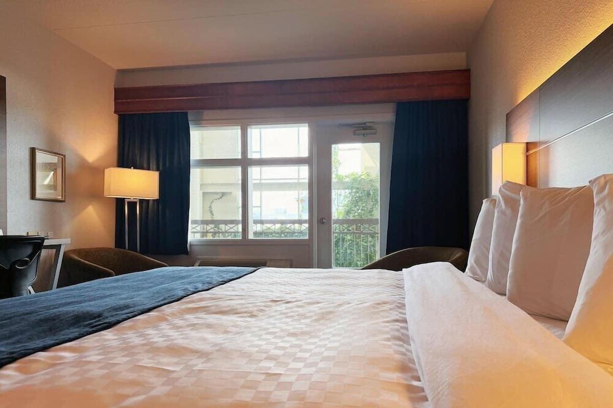 A hotel room with a bed, a desk, a chair, a window with curtains, and a view of greenery outside.
