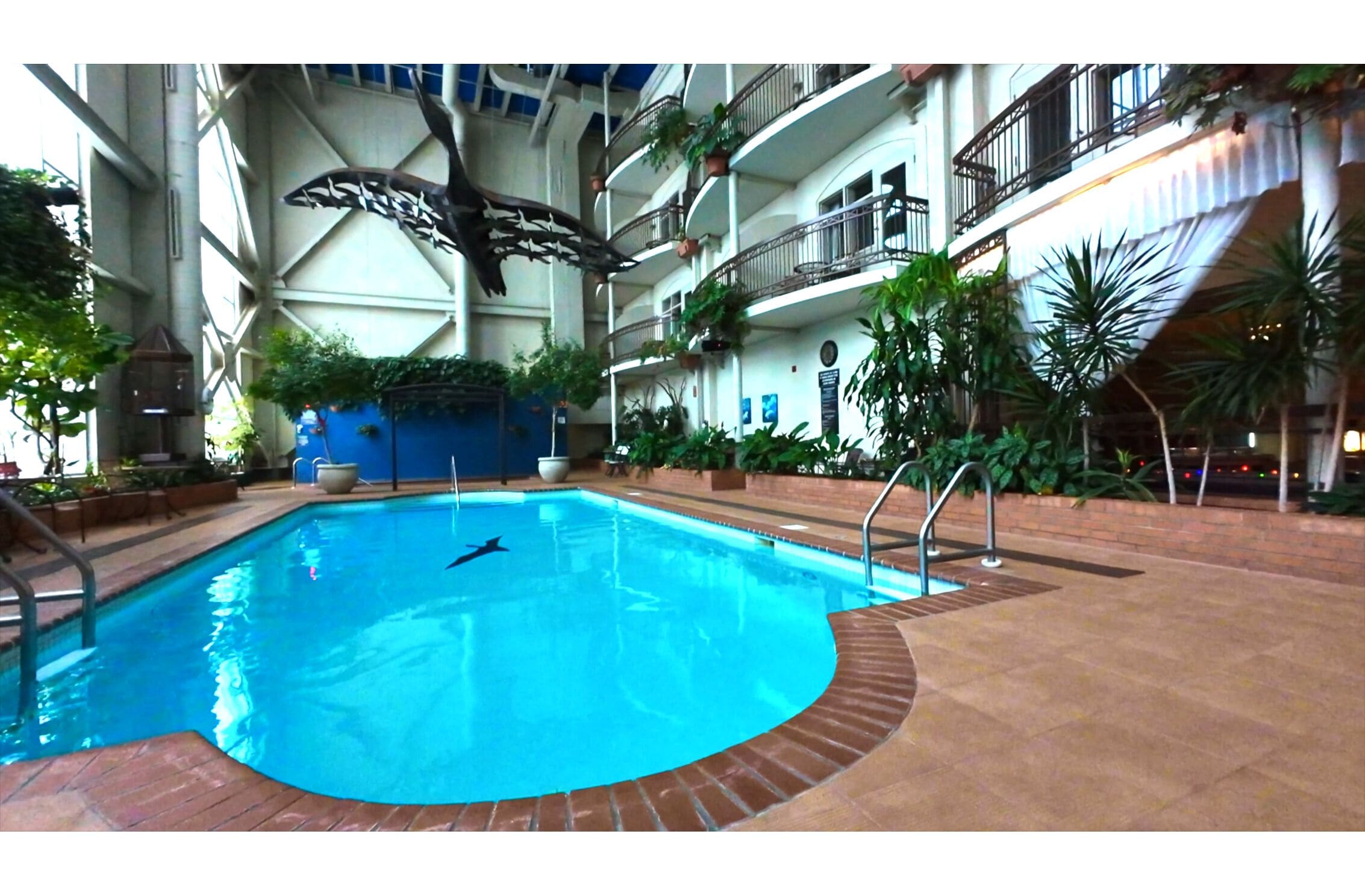 Una piscina interior con una escultura de tiburón, rodeada de balcones y plantas de interior.
