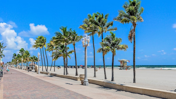 A paved walkway lined with palm trees and a beach in the background.
