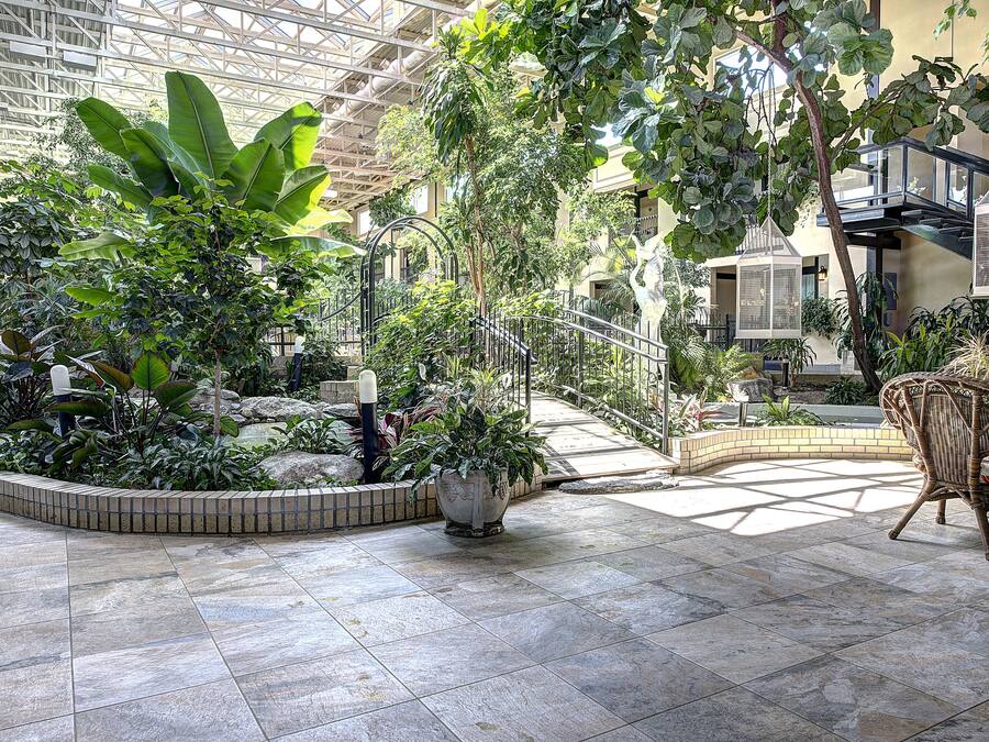 A spacious indoor garden with a variety of plants, a central seating area with a wicker chair, and a glass ceiling structure.