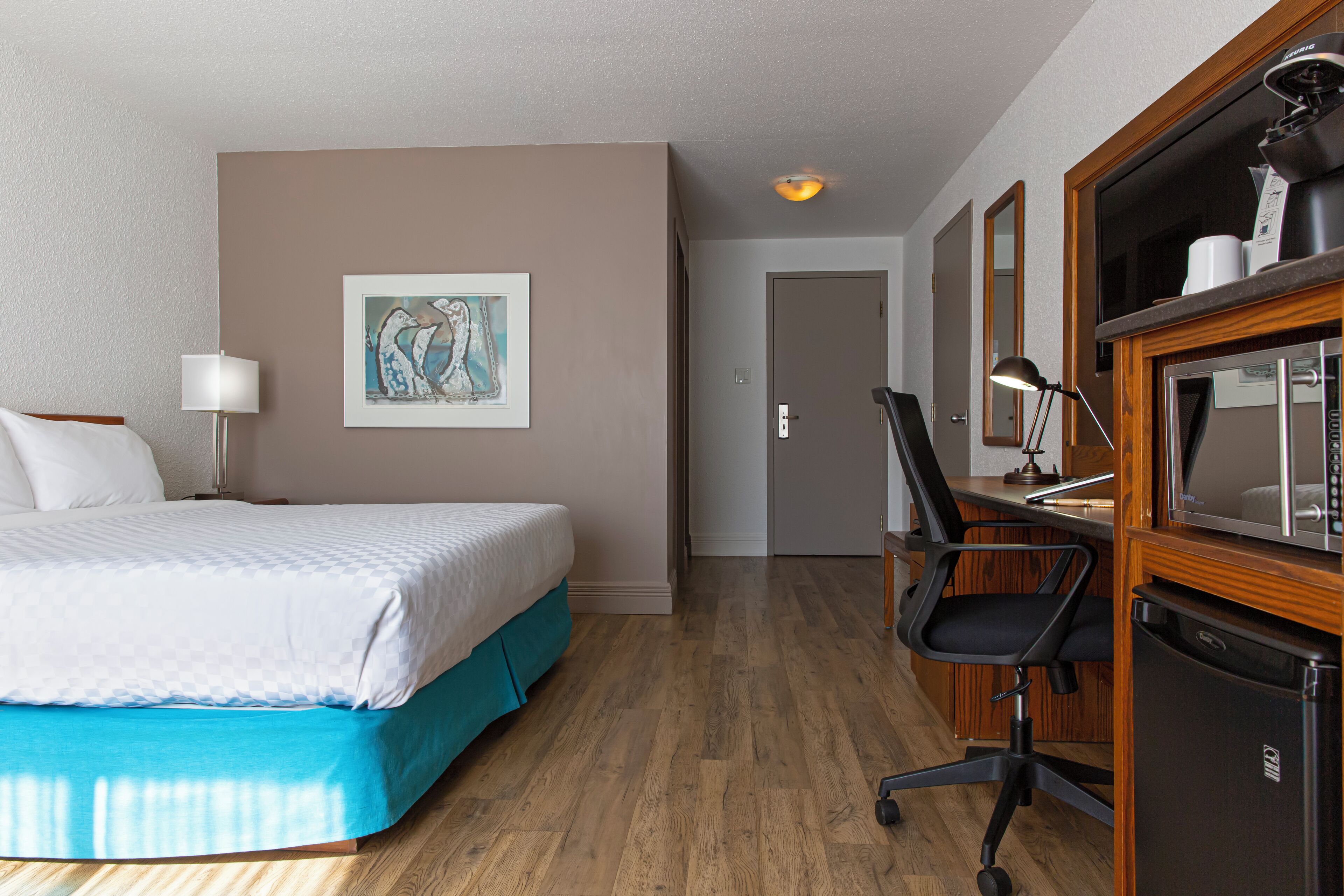 individually decorated, individually furnished, desk, blackout curtains