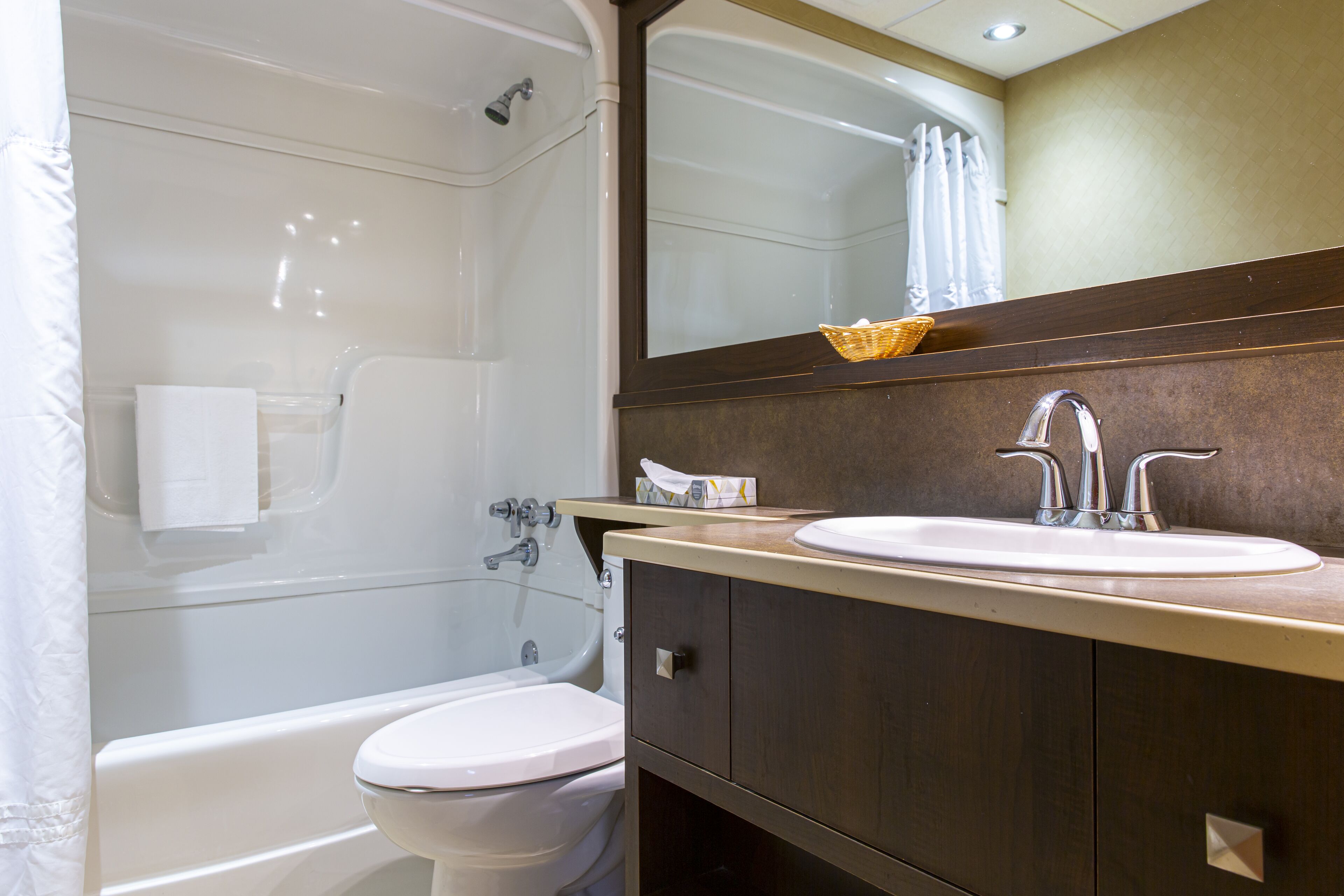 combined shower/bathtub, free toiletries, hair dryer, towels