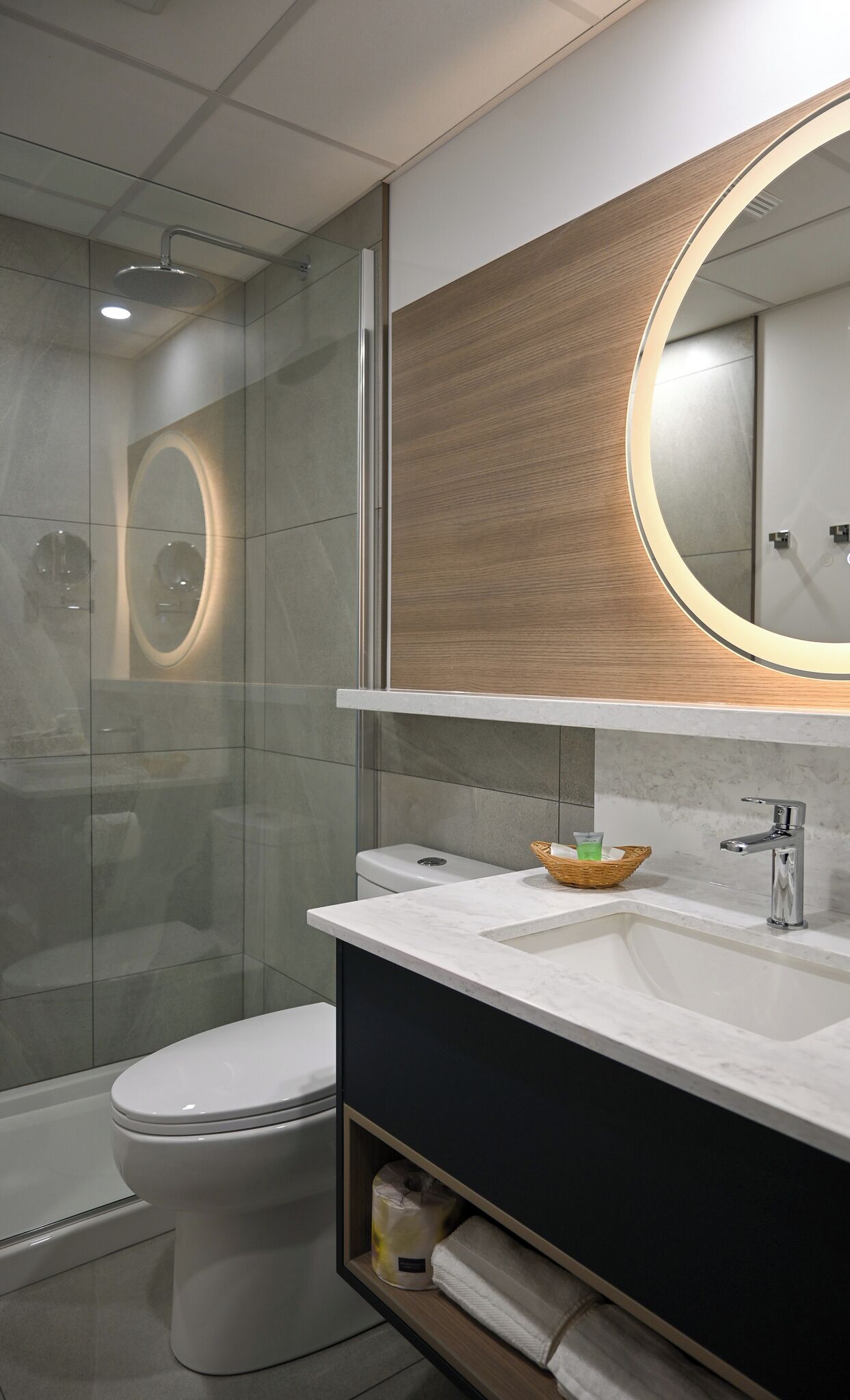 A modern bathroom with a glass shower enclosure, a toilet, a vanity with a mirror, and a sink.