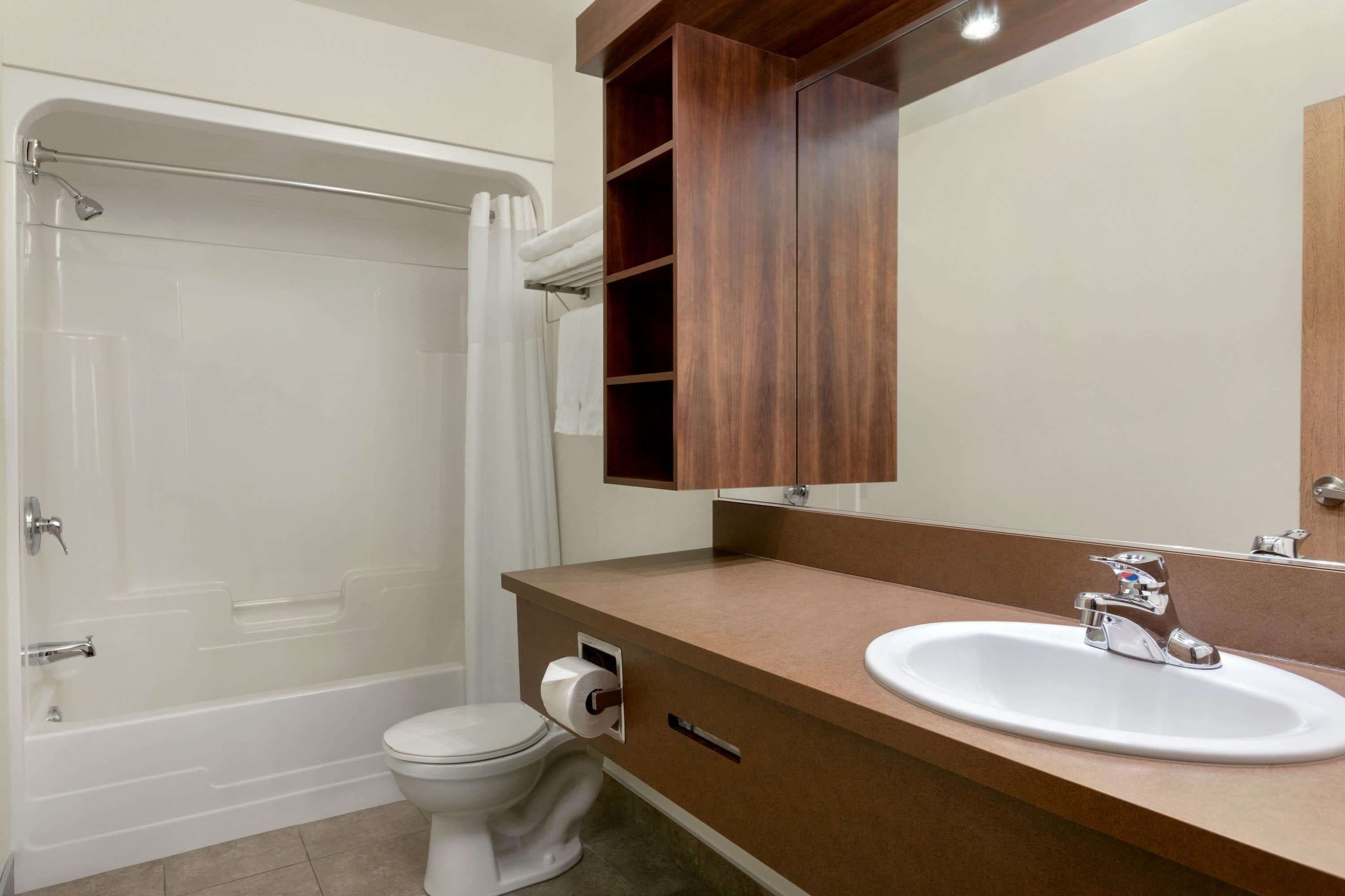 combined shower/bathtub, eco-friendly toiletries, hair dryer, towels