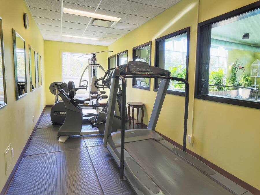 Una palestra con tapis roulant, macchinari per pesi e una parete con specchi.