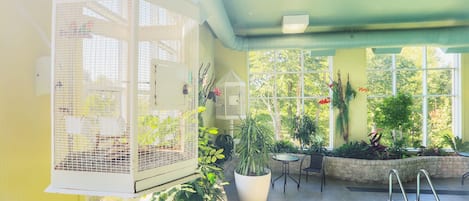 A conservatory with a birdcage, potted plants, and a pool area.